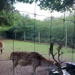 Hoo Farm Animal Kingdom - Telford