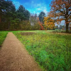 Telford Town Park - Telford