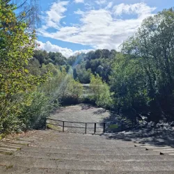 Telford Town Park - Telford