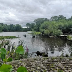 Telford Town Park - Telford