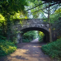 Telford Town Park - Telford