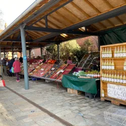 Tenterden Farmers Market - Tenterden