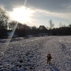 Thame Walks and Trails - Thame