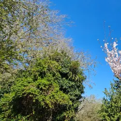 Thame Walks and Trails - Thame