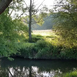 Thame Walks and Trails - Thame