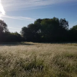 Thame Walks and Trails - Thame