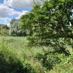 Thame Walks and Trails - Thame