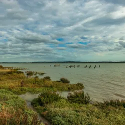 Coalhouse Fort - Tilbury