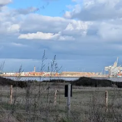 Thameside Nature Park - Tilbury