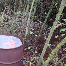 Thameside Nature Park - Tilbury