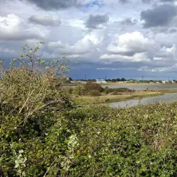 Thameside Nature Park - Tilbury