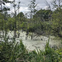 The Thames Path - Tilbury