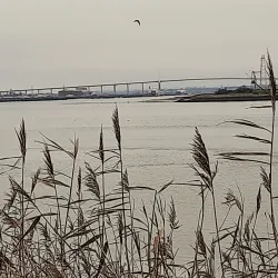 The Thames Path - Tilbury