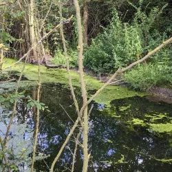 The Thames Path - Tilbury