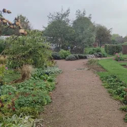 Hillside Gardens - Torpoint