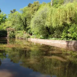 Cockington Country Park - Torquay