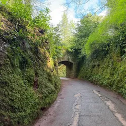 Cockington Country Park - Torquay