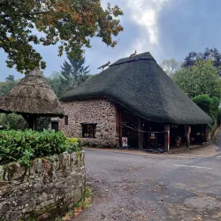 Cockington Country Park - Torquay