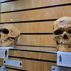 Kents Cavern - Torquay