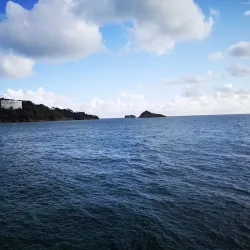 Meadfoot Beach - Torquay