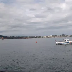 Torquay Harbour - Torquay