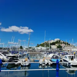Torquay Harbour - Torquay