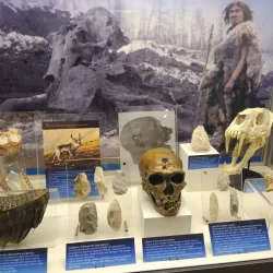 Torquay Museum - Torquay