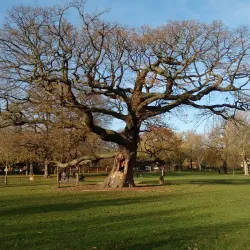 Bruce Castle Museum and Park - Tottenham