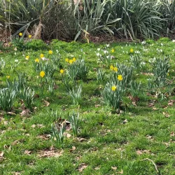 Chestnuts Park - Tottenham