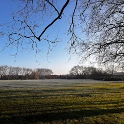 Chestnuts Park - Tottenham