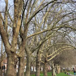 Chestnuts Park - Tottenham