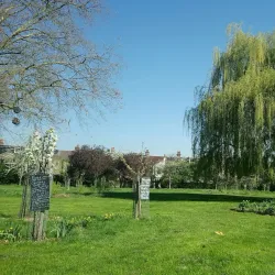 Chestnuts Park - Tottenham