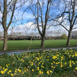 Chestnuts Park - Tottenham