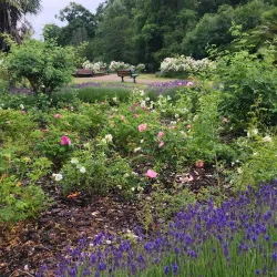 Downhills Park - Tottenham