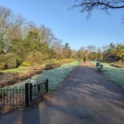 Downhills Park - Tottenham