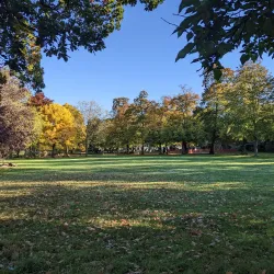 Downhills Park - Tottenham