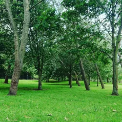 Downhills Park - Tottenham