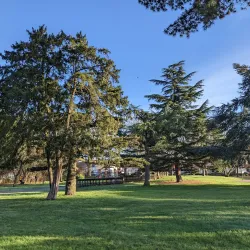 Downhills Park - Tottenham