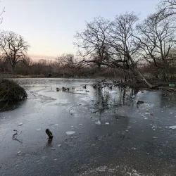 Lordship Recreation Ground - Tottenham