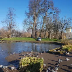 Lordship Recreation Ground - Tottenham