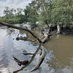 Lordship Recreation Ground - Tottenham
