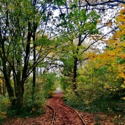 Lordship Recreation Ground - Tottenham