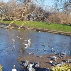 Lordship Recreation Ground - Tottenham