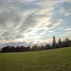 Markfield Park - Tottenham