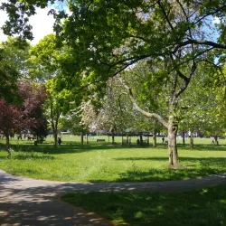 Markfield Park - Tottenham