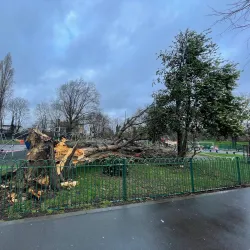 Markfield Park - Tottenham