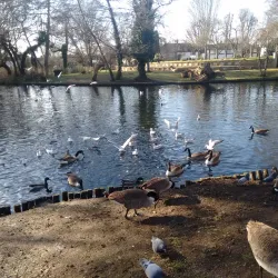 Tottenham Cemetery - Tottenham