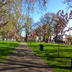 Tottenham Green Market - Tottenham
