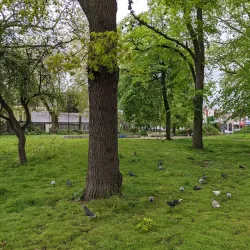 Tottenham Green Market - Tottenham