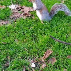 Tottenham Green Market - Tottenham